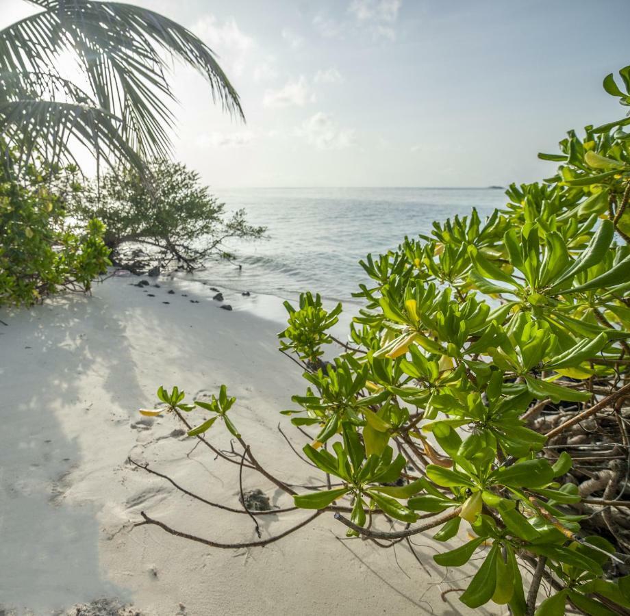 Portia Hotel & Spa Dhiffushi Εξωτερικό φωτογραφία